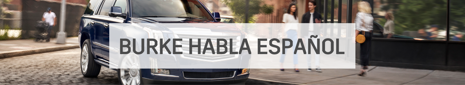 BURKE HABLA ESPAÑOL - Burke Speaks Spanish BURKE HABLA ESPAÑOL - Burke Speaks Spanish