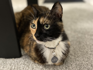 Millie