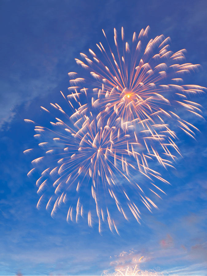 Fireworks in the night sky