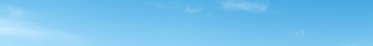 Blue Sky In Spring