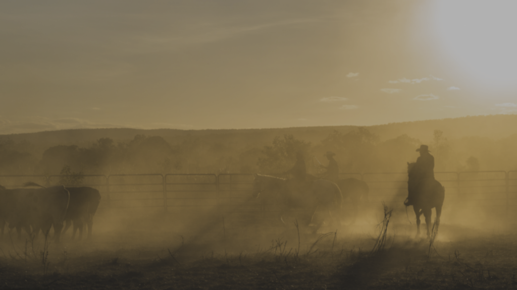 An Amarillo, Dumas, and Pampa, TX Dealer Alternative Country