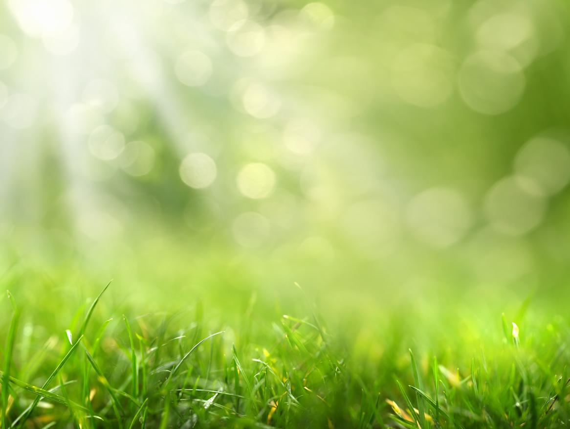 Dublin Chevrolet GMC - A Dealership Alternative for Milledgeville Drivers