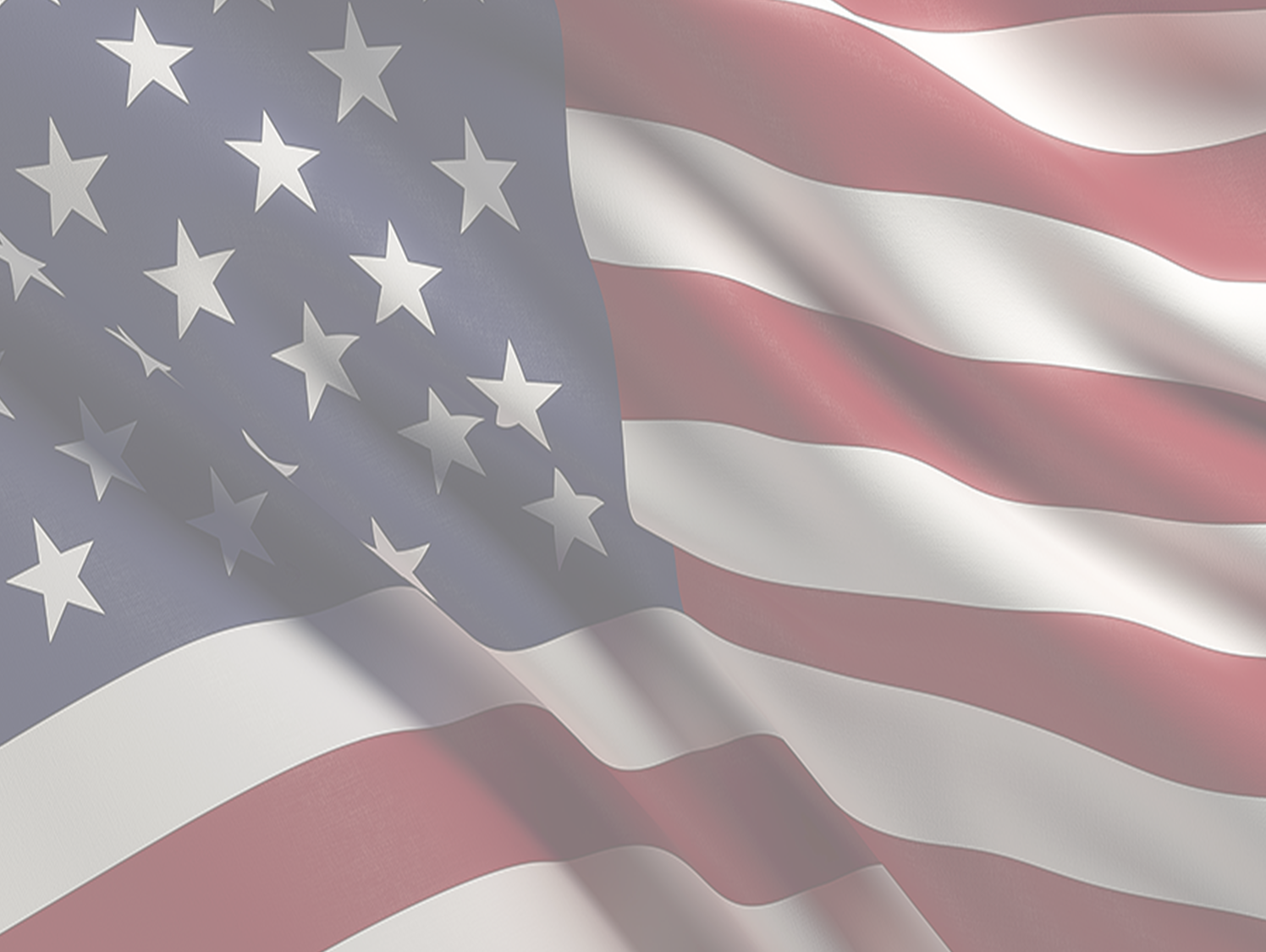 reserve Page Background image American flag
