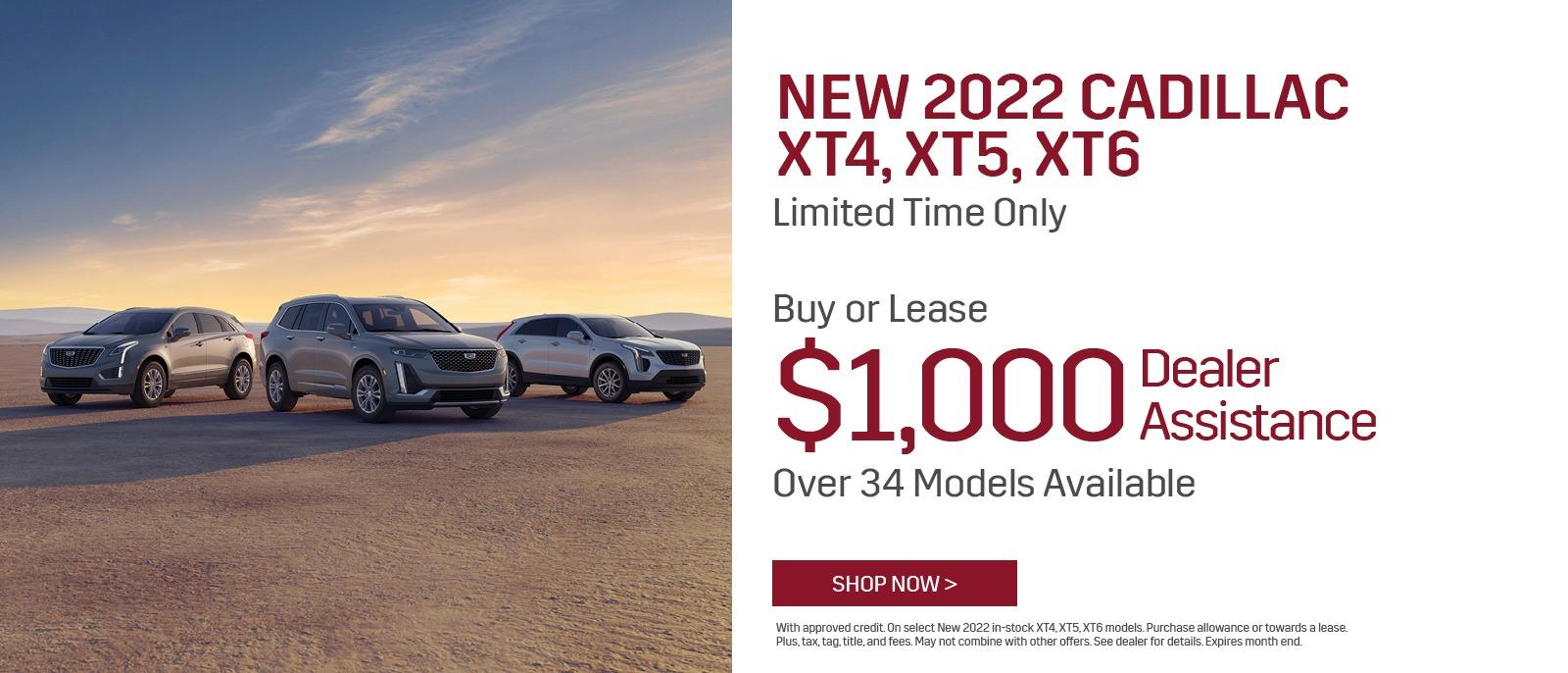 Ed Morse Cadillac Tampa Citrus Park, Clearwater, and Wesley Chapel