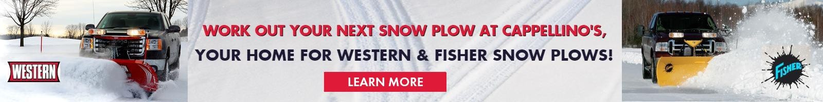 Dual Brand Snow Plow Banner