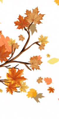 Like the leaves, Equinox prices are falling this November!