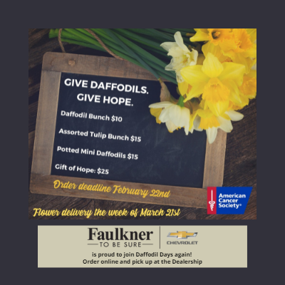 Enjoy a fresh bloom to welcome Spring!