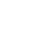Search Icon