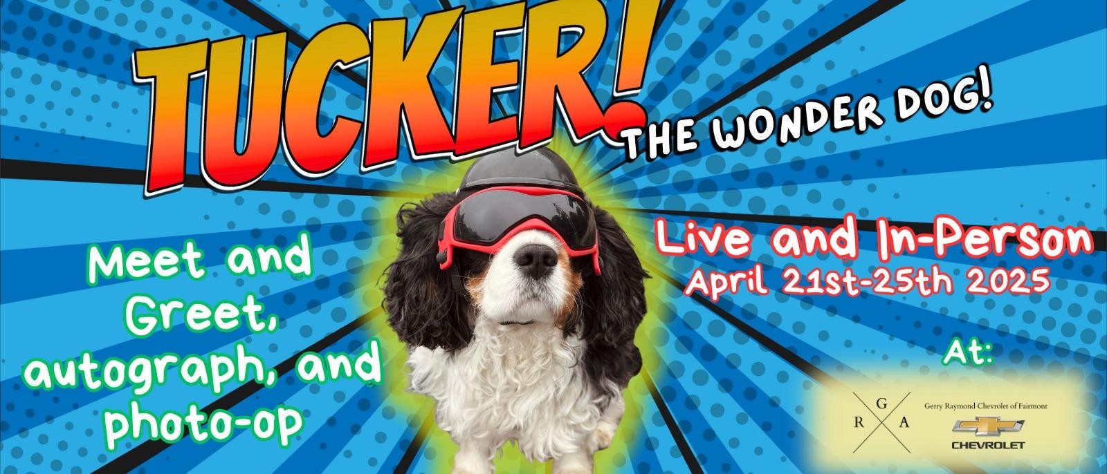 THE WONDER DOG