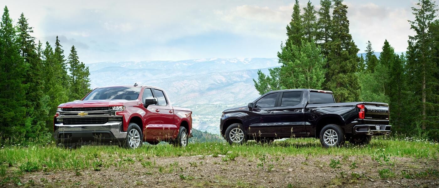 Two 2019 Chevy Silverado 1500 Parked in a Forest on a Hill