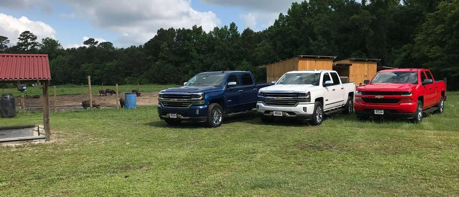 Farm Photo