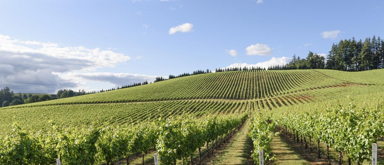 Newberg Chevrolet New Chevy & Used Car Dealer near Portland OR