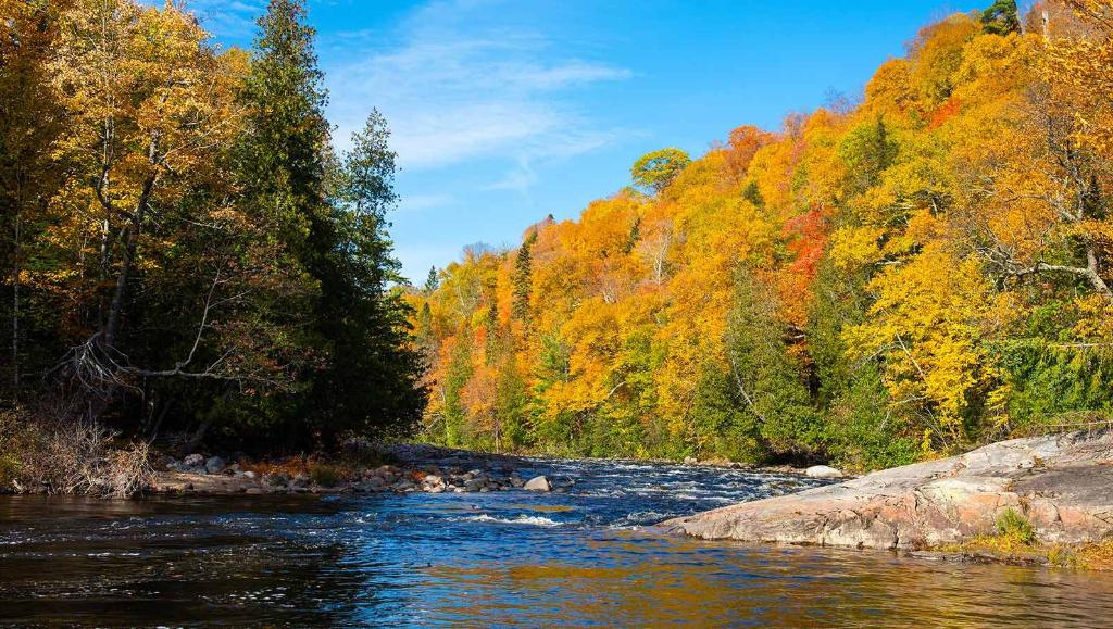 Markquart Cadillac in CHIPPEWA FALLS Serving Eau Claire, Wausau, WI