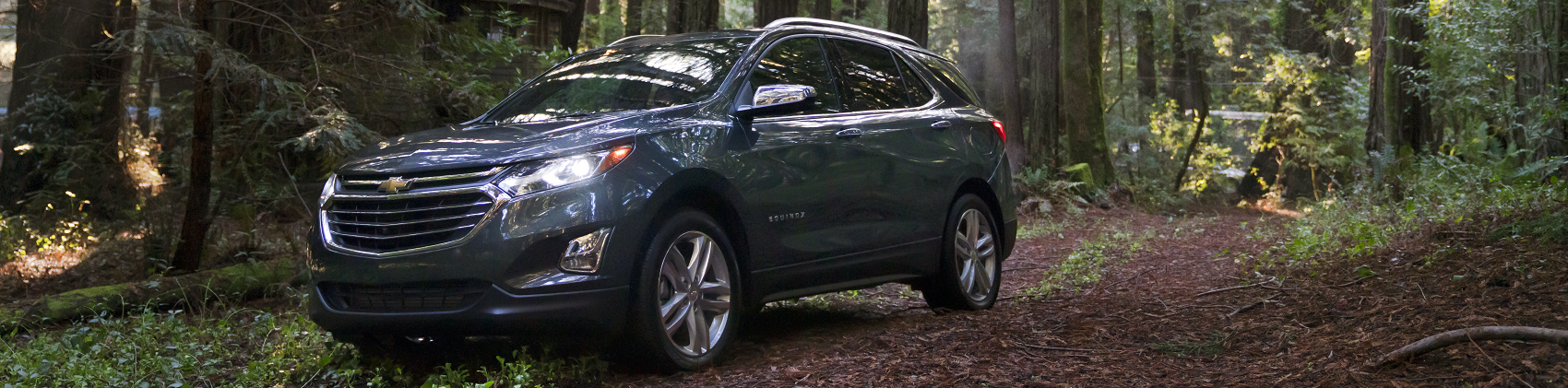 2020 Chevy Equinox