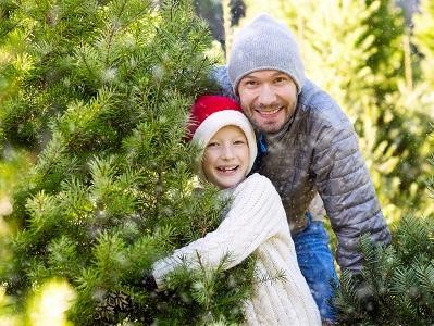 Family Picking Christmas Tree