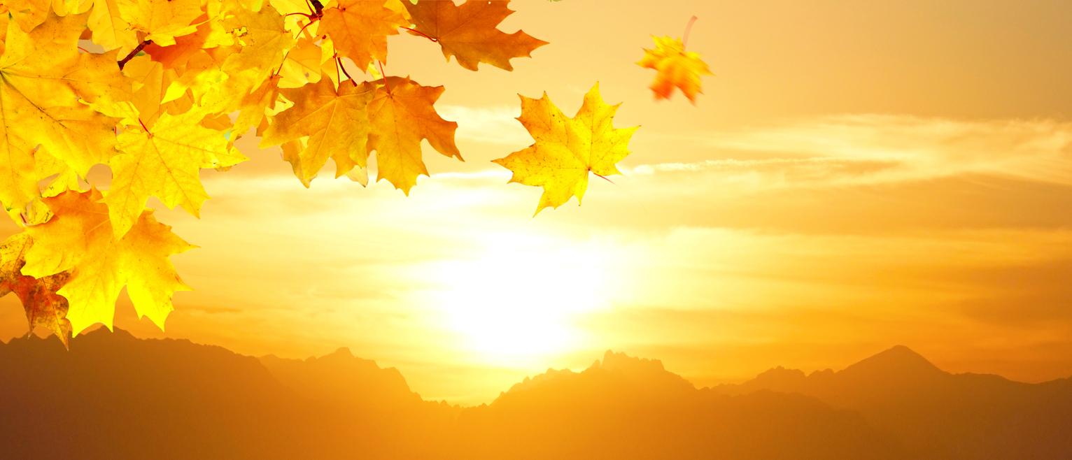 Fall theme