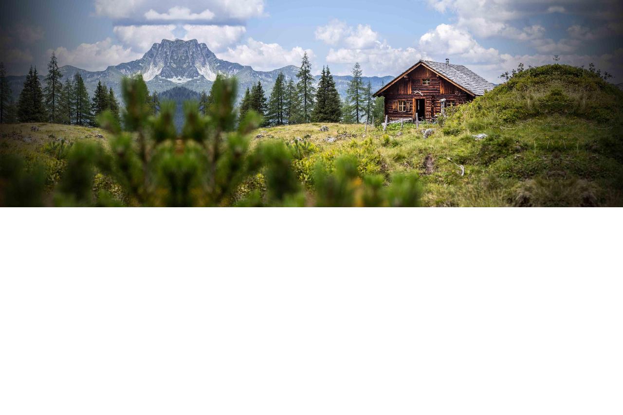 Northwest Auto Sales and Service in MEEKER Your Craig and Rifle GMC