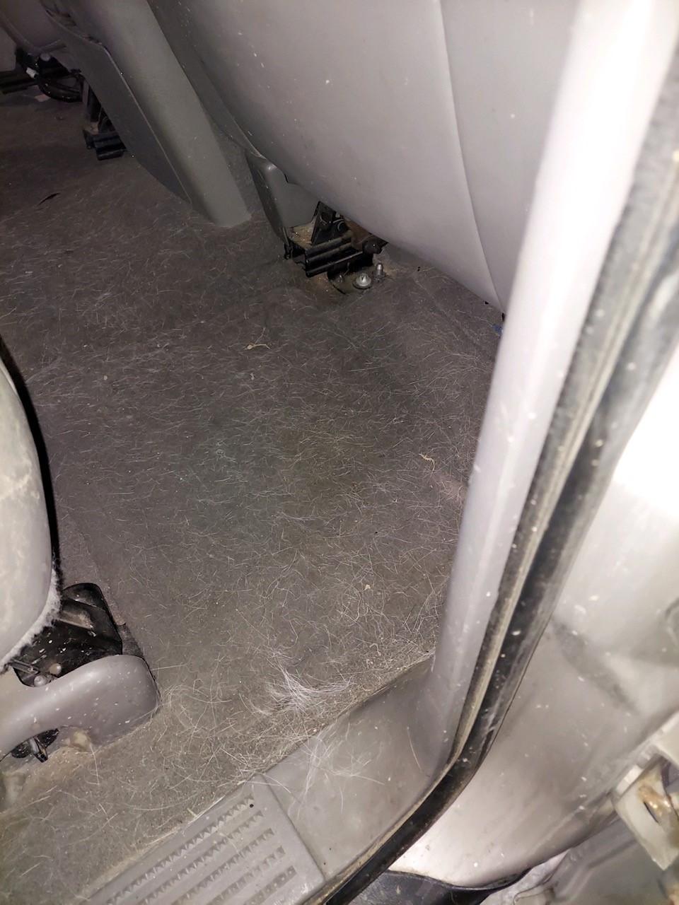 Otto Cadillac is a ALBANY Cadillac dealer and a new car and used car