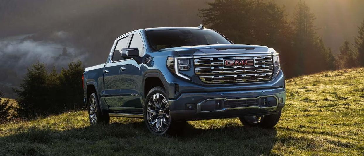 2025 GMC Sierra 1500 parked in a meadow