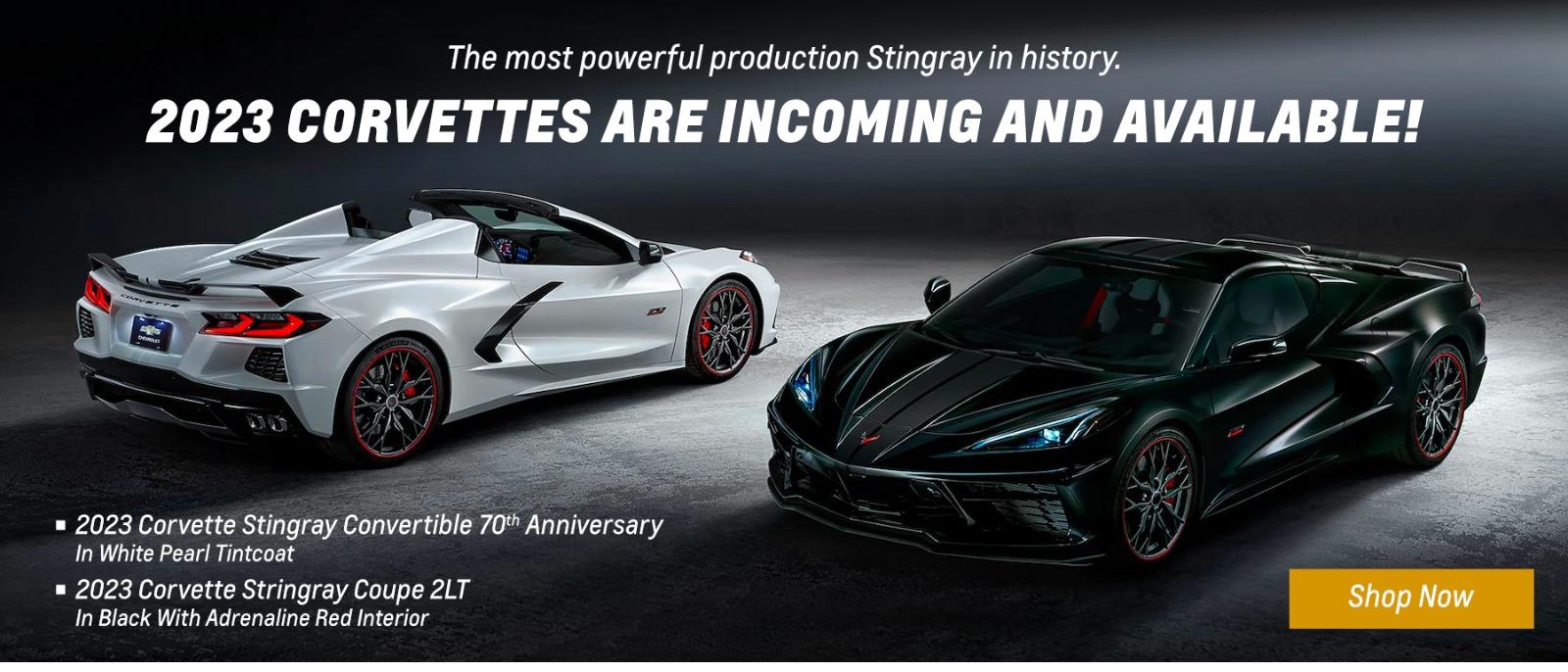 Ellis Chevrolet Buick GMC Chevy Dealership in Malone, NY