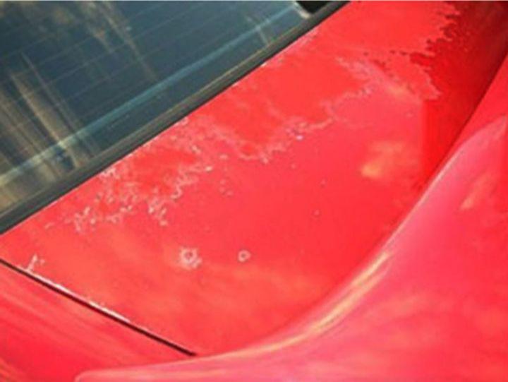 Surface Protection Ex