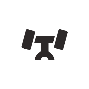 Two-Wheel Alignment Icon