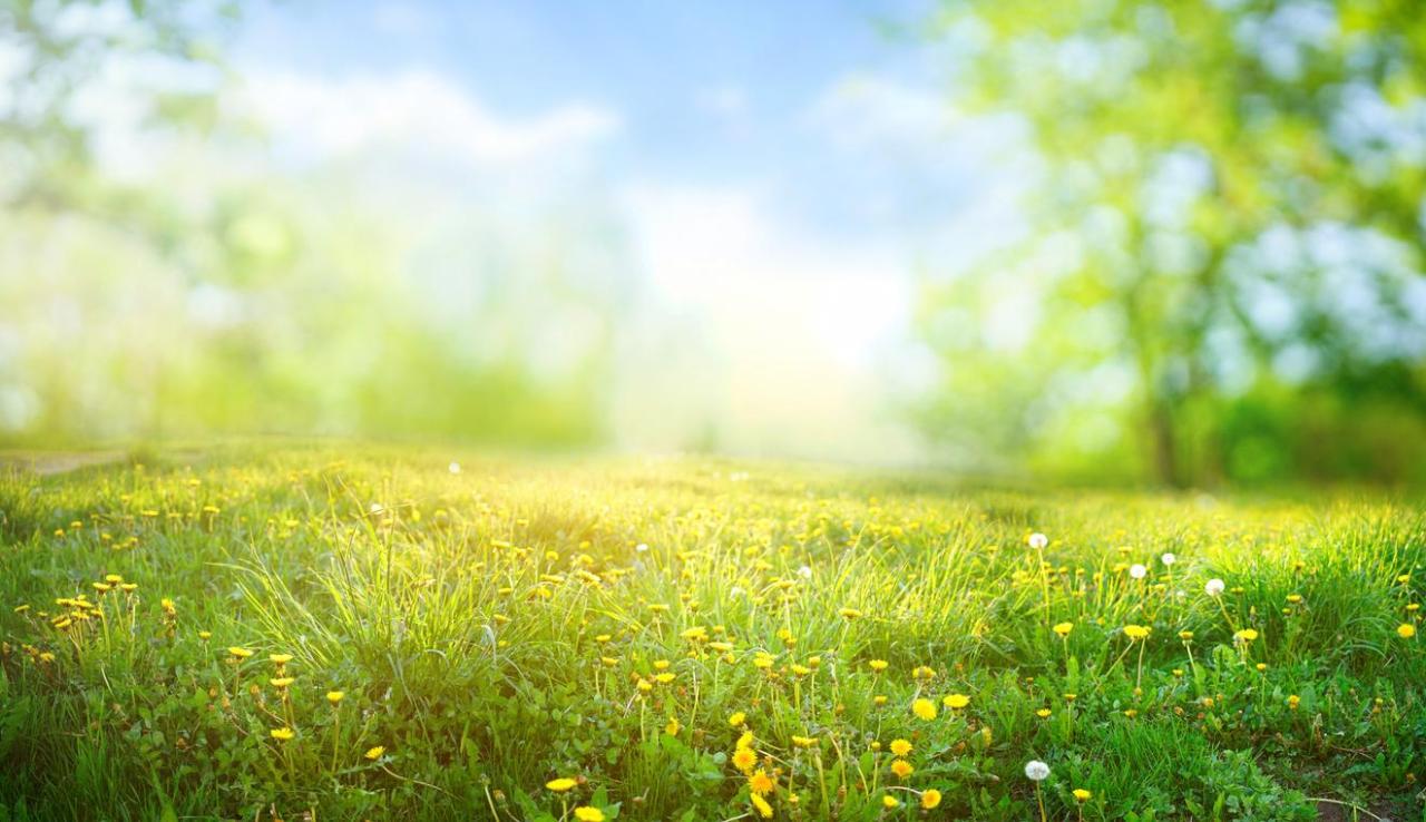 Whitneys Chevrolet is a MONTESANO Chevrolet dealer and a new car and