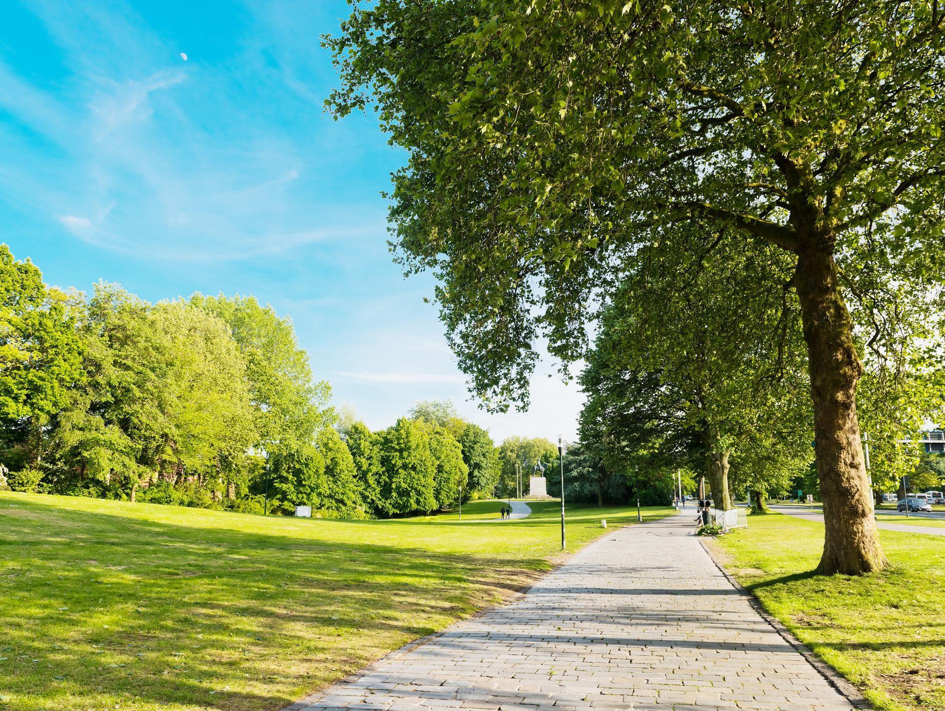 Outdoor Background