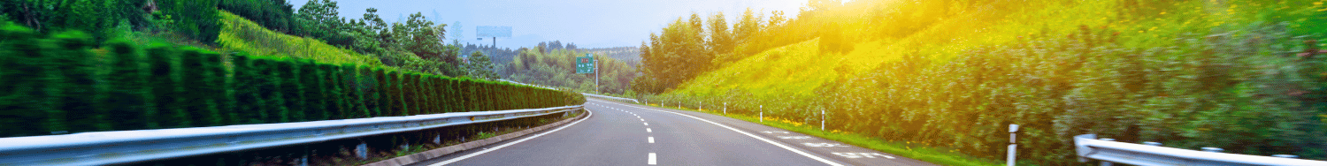 Highway lined with trees and shrubbery