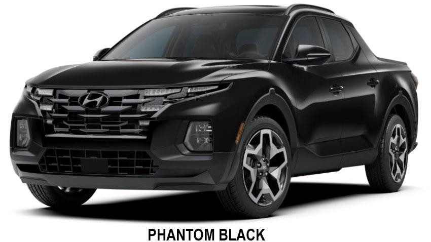 Phantom Black Santa Cruz