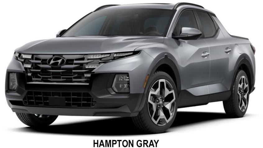 Hampton Gray Santa Cruz