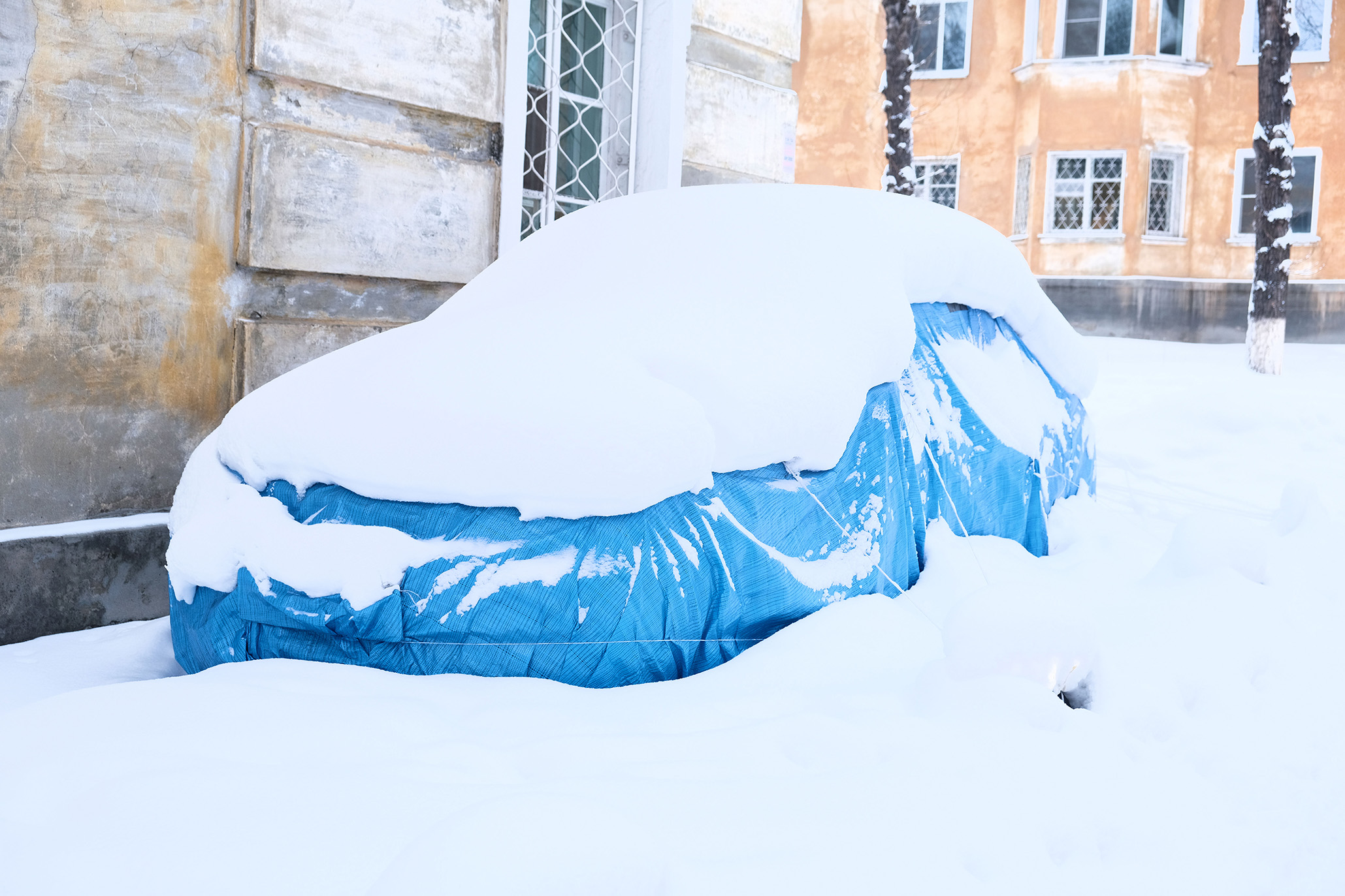 Row of snow-covered cars