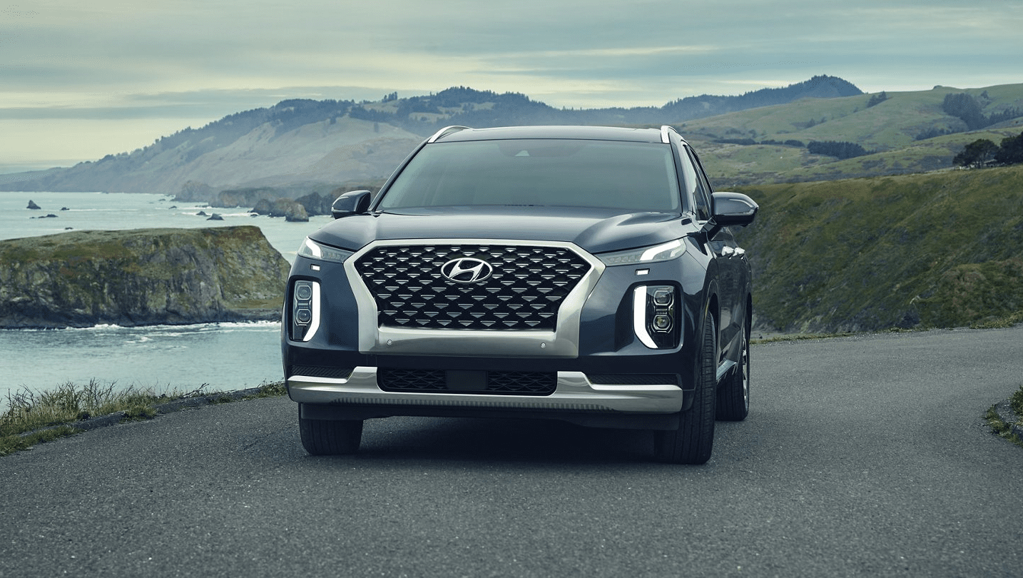 2022 Hyundai Paladise exterior