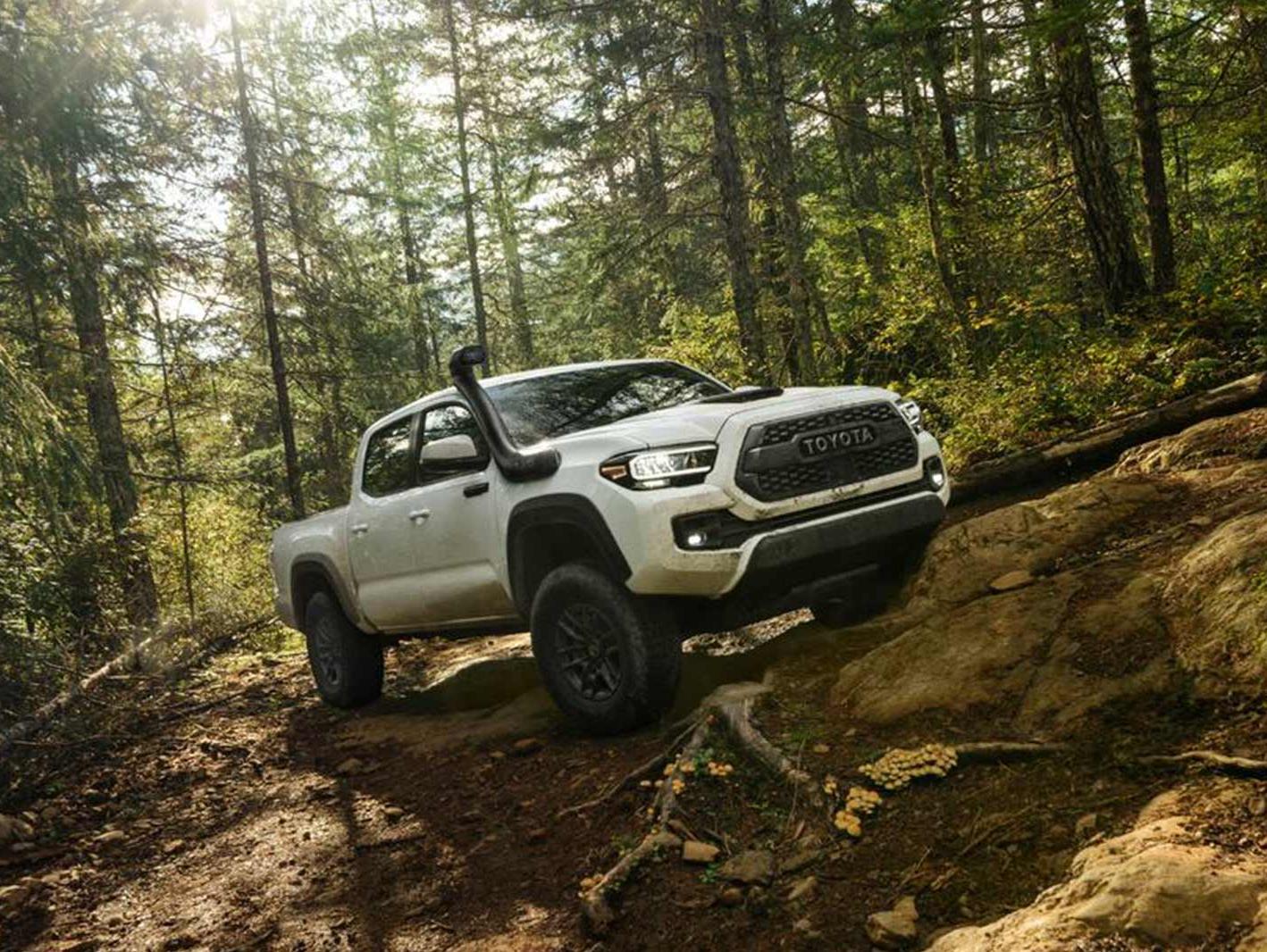 Bergstrom Toyota