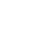 Car Fixed Icon