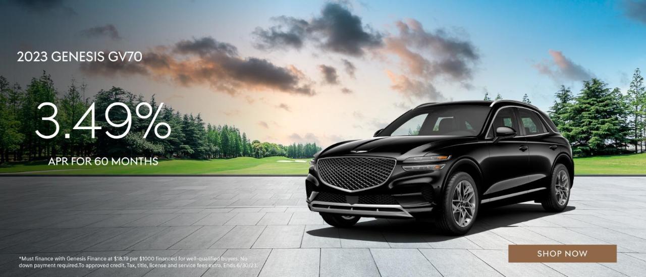 Bergstrom Genesis of Appleton is a Appleton Genesis dealer and a new