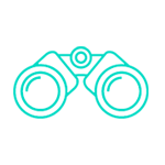 Digital Advertising Analysts