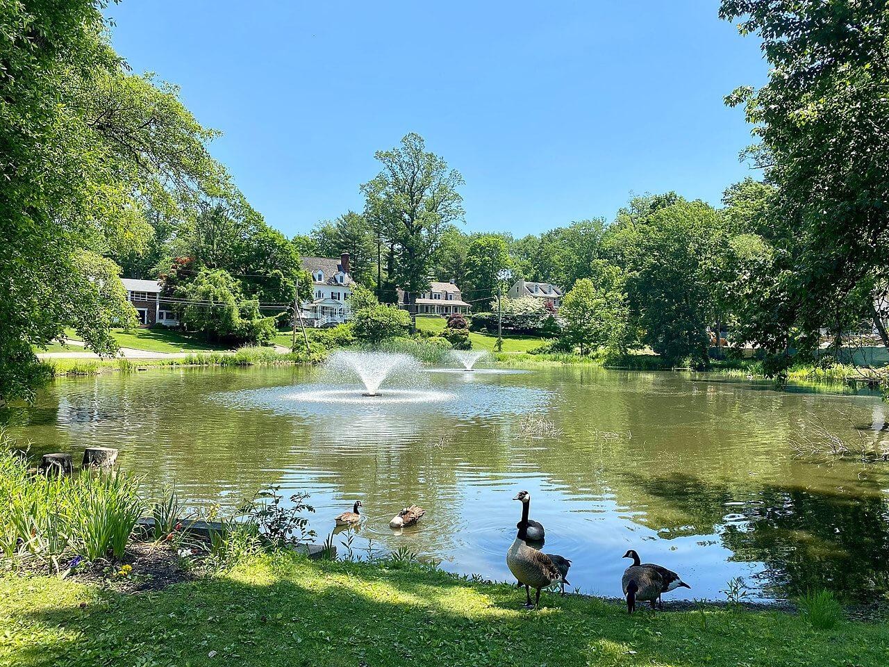 Roslyn Estates Picture