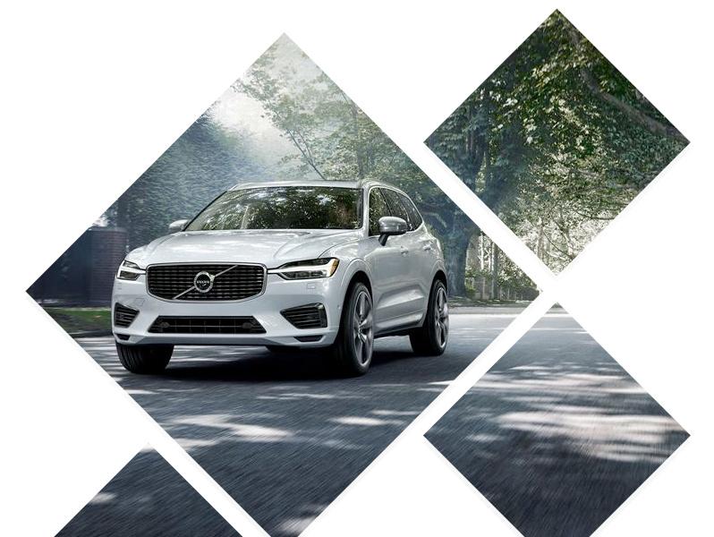 Volvo driving on wooded road Volvo driving on wooded road
