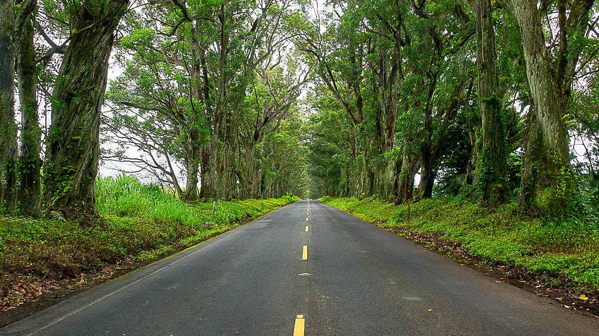 About Kuhio Ford New Ford and Used Car Dealer Lihue