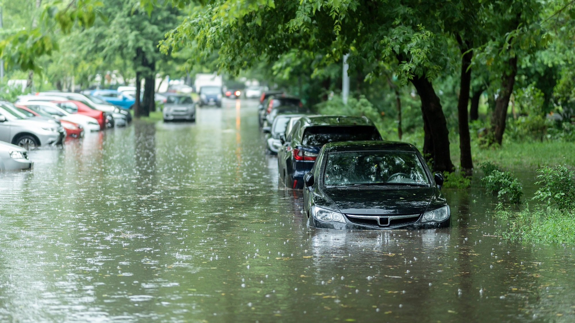 Car Flood Damage Everything You Need to Know McCarthy Collision Centers