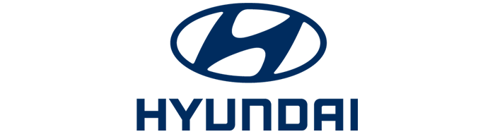 Big Hyundai Logo