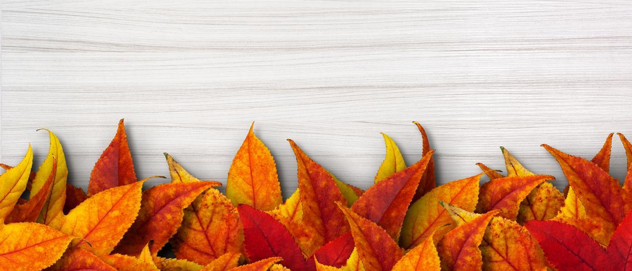 Vaughn PreOwned Alexandria is a dealer selling certified and used cars