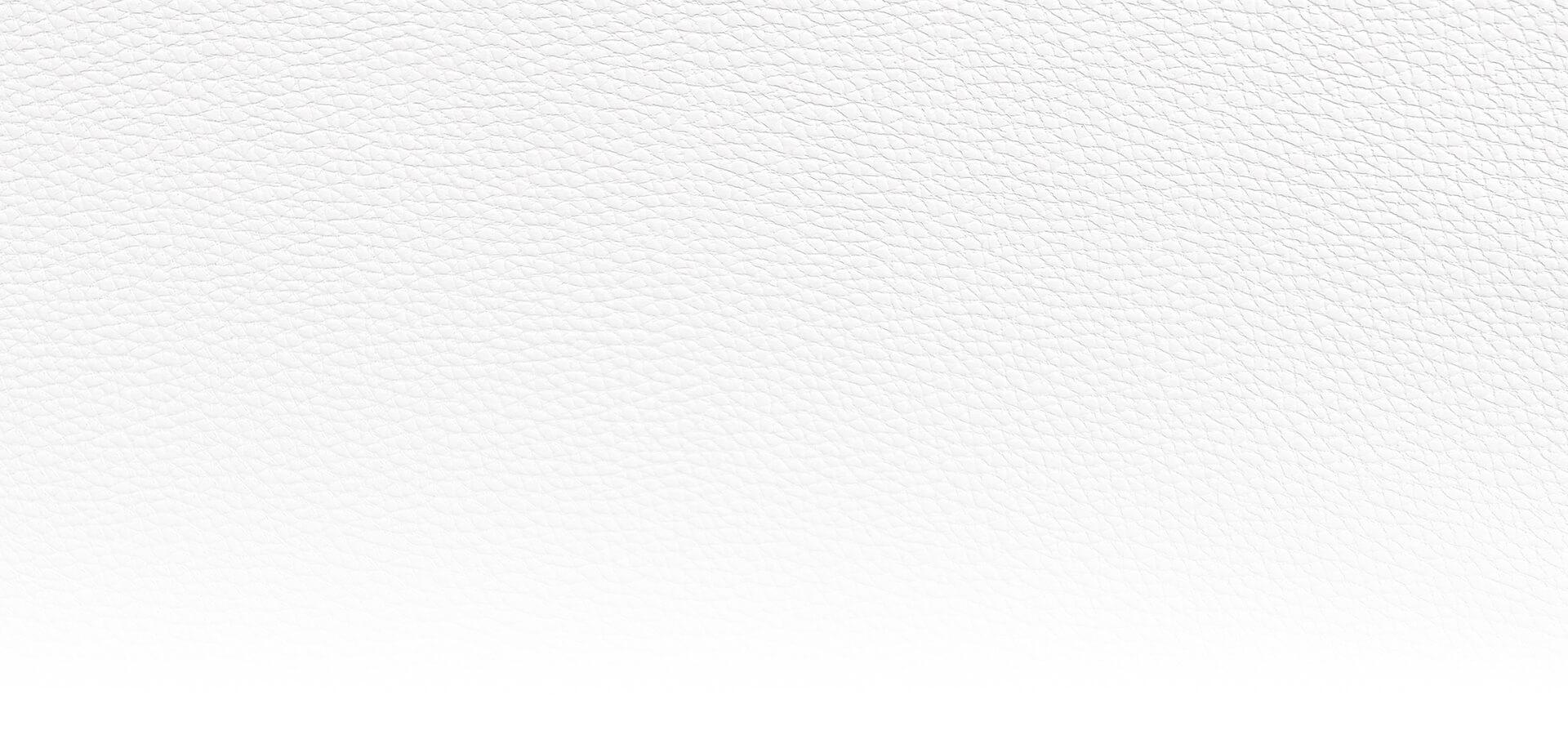 White leather texture