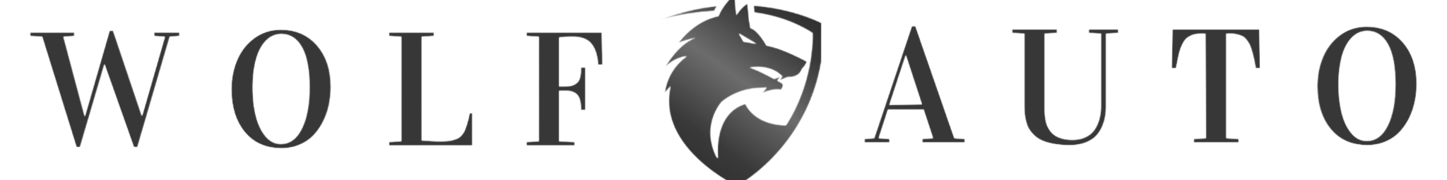 Ford Logo
