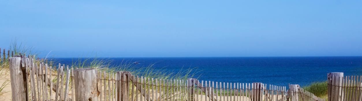 Battles Is THE Nissan Dealer for New & Used Cars on Cape Cod