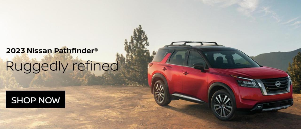 New & Used Nissan Dealership Ken Nelson Nissan Dixon, IL