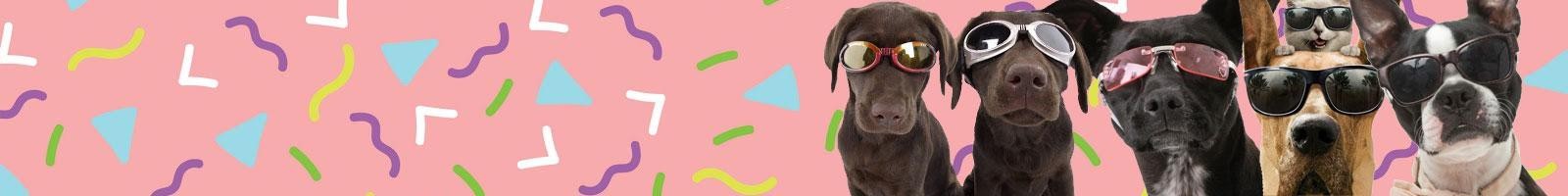 Dogs With Sunglasses