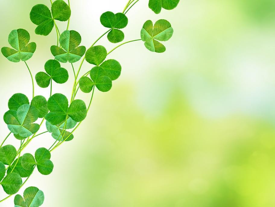 Background Image | St. Patrick's Day 4