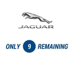 Jaguar only 9 Remaining